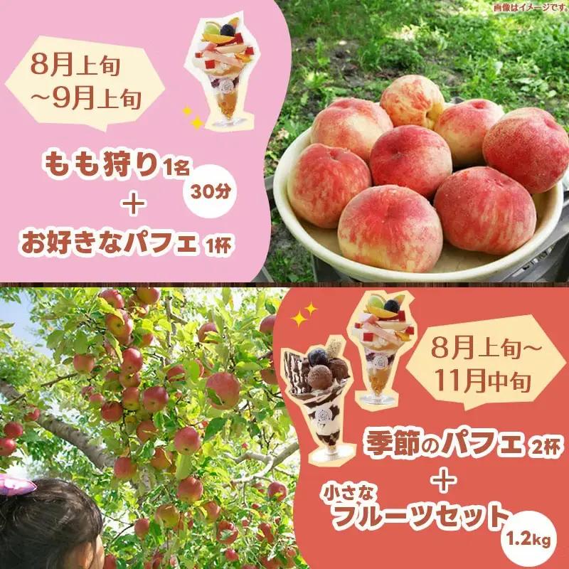 王将果樹園 & カフェ 体験 プラン チケット くだもの狩り 山形県 天童市