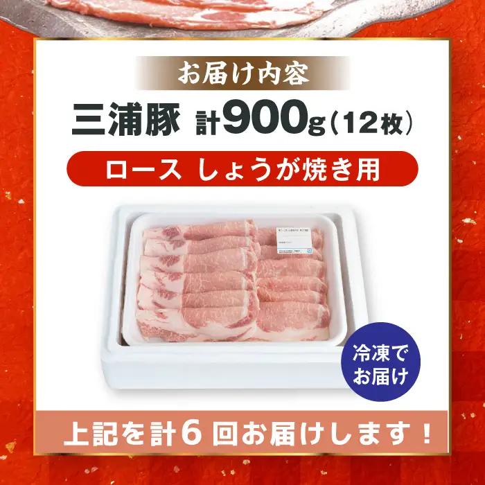 【6回定期便】 三浦豚 豚肉 ロース900ｇ（生姜焼き用） / 恵那市 / あづま精肉店 [AUDL013]