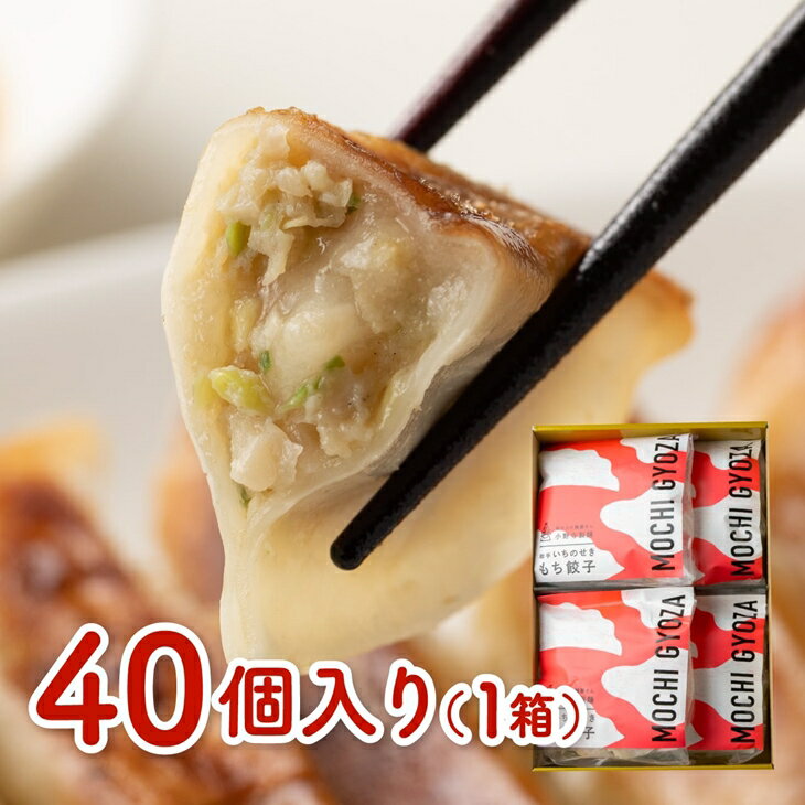 【ふるさと納税】岩手 いちのせき もち 餃子 40個（1袋10個×4袋）おもち入り 一関名物 手作り ギョウザ 肉汁 ジューシー もちもち食感 小野寺製麺 餅 コラボ 水餃子 揚げ 焼くだけ 冷凍 惣菜 豚肉 国産 野菜 点心 中華 おかず 岩手県 ご当地 グルメ 贈答 ギフト おつまみ