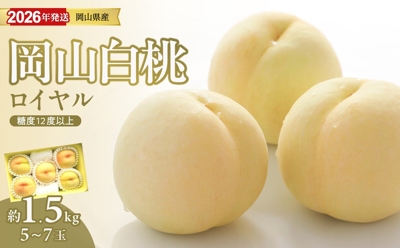 
            【2026年発送分 先行受付スタート！】岡山県産 白桃 最高ランク！「ロイヤル」約1.5kg（ 5～7玉）（令和8年7月以降発送）【 白桃ロイヤル フルーツ くだもの 果物 もも 桃 モモ 岡山県産 ロイヤル 】hz-m
          