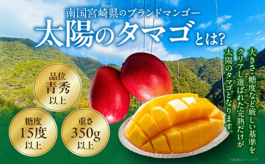 【全2回お届け】太陽のタマゴ 2L×2玉［T20］定期便 フルーツ 果物 くだもの 2027年 完熟マンゴー 国産 宮崎マンゴー マンゴージュース 南国フルーツ おすすめ デザート ギフト 贈り物 プ