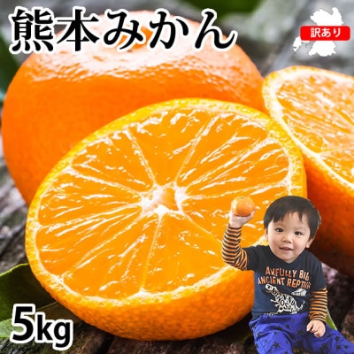 訳あり みかん 計5kg【2025年10月上旬から2026年2月下旬発送予定】(宇城市)【配送不可地域：離島】【1614599】