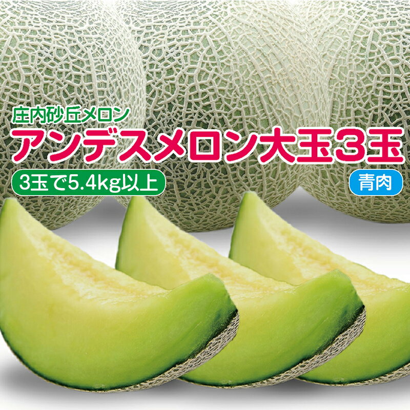 【ふるさと納税】アンデスメロン 青肉 大玉3玉 計5.4kg以上 つる無し 化粧箱入 7月上旬〜7月下旬頃お届け ※着日指定不可 青肉メロン 庄内砂丘メロン 緑 夏 果物 フルーツ くだもの 旬 東北 山形県 酒田市 庄内