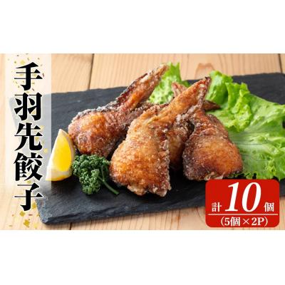 ふるさと納税 霧島市 霧島高原純粋黒豚使用!奇跡の手羽先餃子(5個×2P計10個)【MAGONIMO餃子】K-285-A