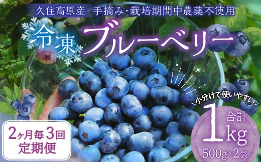 【2ヶ月毎3回 定期便】久住高原 手摘みブルーベリー 冷凍 500g 2袋 計3kg 小分け 栽培期間中農薬不使用 【2025年7月下旬より順次発送開始予定】