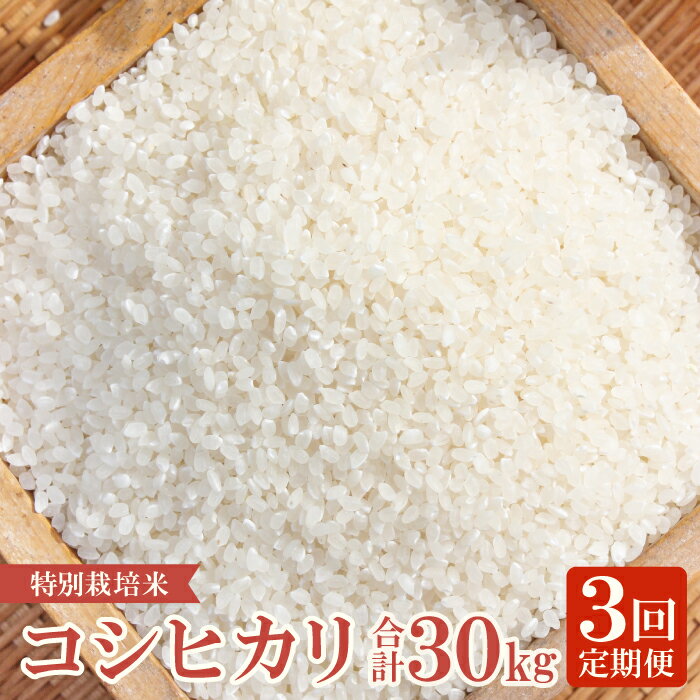 【ふるさと納税】【定期便】【新米】横尾衛門のコシヒカリ 白米 10kg×3回 コース 3ヵ月 毎月お届け 特別栽培米 精米 産地直送 こしひかり ご飯 弁当 おにぎり 夕食 定番 特産品 ブランド米 お米 お取り寄せ