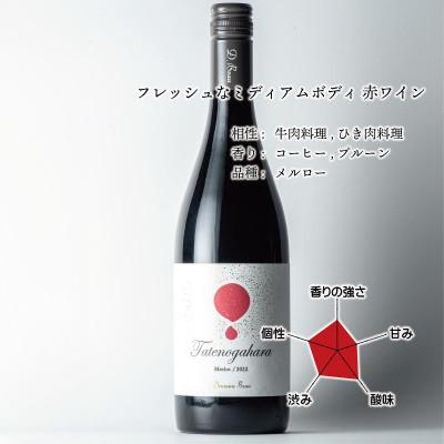 ふるさと納税 南砺市 立野原 メルロー 2022 |  | 01