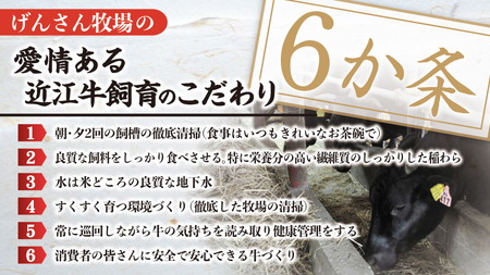 【3月末までに発送】近江牛 A5ランク 究極の赤身 モモ すき焼用【400g】【DG23SM-3m】