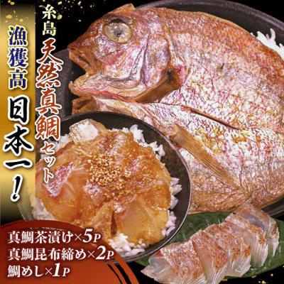 ふるさと納税 糸島市 いとしま 天然真鯛 プレミアムセット ワイエスフード [AFO001]