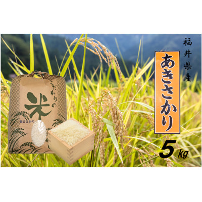 令和7年産　あきさかり(精米)　5kg【1465333】
