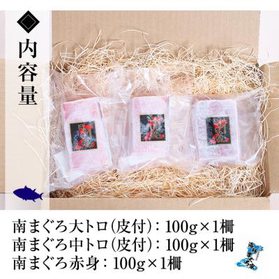 ふるさと納税 いちき串木野市 【ちょこっとプレミアム】天然南まぐろフルセット 計約300g |  | 02