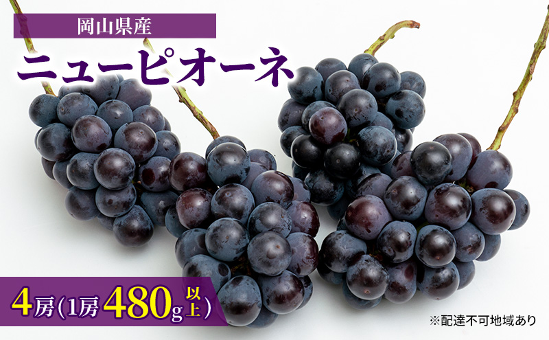 ぶどう 2025年 先行予約 ニュー ピオーネ 4房（1房480g以上）約2kg ブドウ 葡萄 岡山県産 国産 フルーツ 果物 ギフト