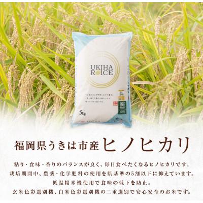 ふるさと納税 うきは市 UKIHA RICE 白米2kg(特別栽培米) 063-0298 |  | 01