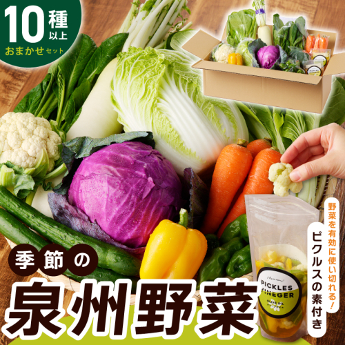 【スピード発送】季節の泉州野菜 10種 おまかせセット ピクルスの素 いずみピクルス NSW 010B1544