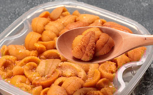 A-81017【年内配送可】  むきたて塩水ウニ(赤系含む)100～110g[11月中旬以降発送]