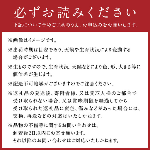 【2026年先行予約】京丹後産 和梨 二十世紀 5kg（10～16玉）《8月下旬以降発送》