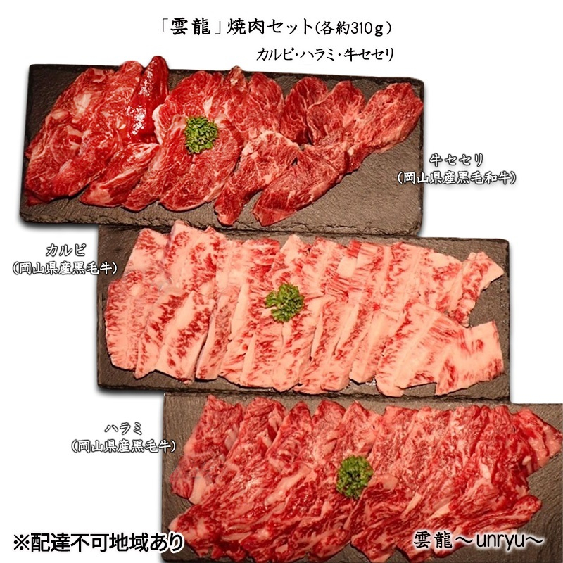 
                  黒毛和牛 焼肉 セット 合計約930g カルビ ハラミ 牛セセリ【雲龍焼肉たれ付】 雲龍  岡山県産 肉 お肉 牛肉 和牛
                