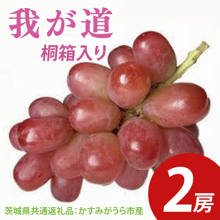 【先行予約】我が道 桐箱入り2房（茨城県共通返礼品：かすみがうら市産）　※2025年9月初旬～2025年10月下旬頃に順次発送予定（CD048）