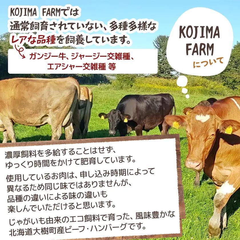 ぽてぱるビーフ・ハンバーグ　150g×5個【750g】【配送不可地域：離島】【1730877】