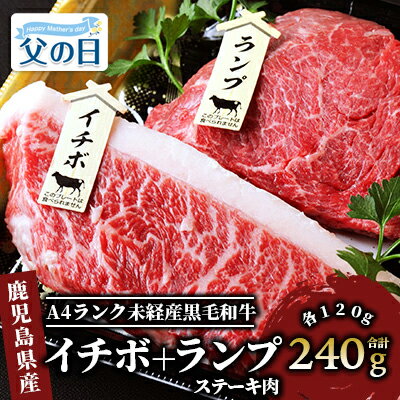 【ふるさと納税】＜父の日用も選べる！6/14までの決済完了で6/19〜6/21にお届け＞＜国産！鹿児島県産A4未経産牛＞指宿育ちの黒毛和牛の希少部位 イチボ・ランプステーキ(各120g・計240g) 牛肉 ステーキ 赤身 イチボ ランプ 冷凍 肉 黒毛和牛 和牛 国産 A4【Meat you】