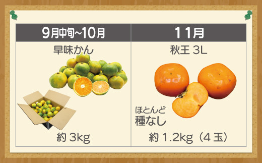 【定期便】宮若市旬のフルーツ定期便  (年4回) [M763] ブランド いちご ぶどう みかん 柿 大人気 NO1 限定品 高級 フルーツ 果物 くだもの 特別 冷蔵 プレゼント 九州 福岡 宮若市
