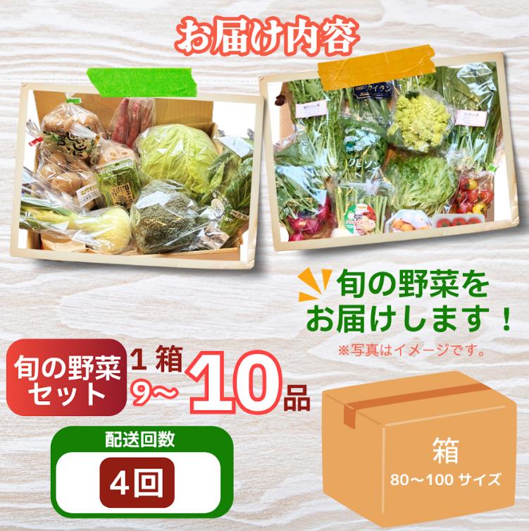 野菜 セット 9～10品 定期便 4回 季節 旬 野菜 詰め合せ 国産 季節 旬 おまかせ 産地直送 春野菜 夏野菜 秋野菜 葉物 果物 果菜 根菜 冷蔵 野菜室 ダイエット 食 栄養食 加工品 カッ