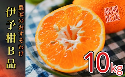 【ふるさと納税】 【先行予約】 【2026年1月から発送予定】 家庭用 宮内伊予柑  10kg サイズ混合  （ 訳あり 柑橘 みかん 果物 くだもの フルーツ おすすめ  人気 お取り寄せ グルメ ギフト 期間限定 数量限定 ご当地 愛媛県 松山市 ）