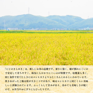 ＼ 新米 ／ 5kg 9月から順次発送 にじのきらめき 令和7年度産 コシヒカリ に匹敵 白米 ご飯 