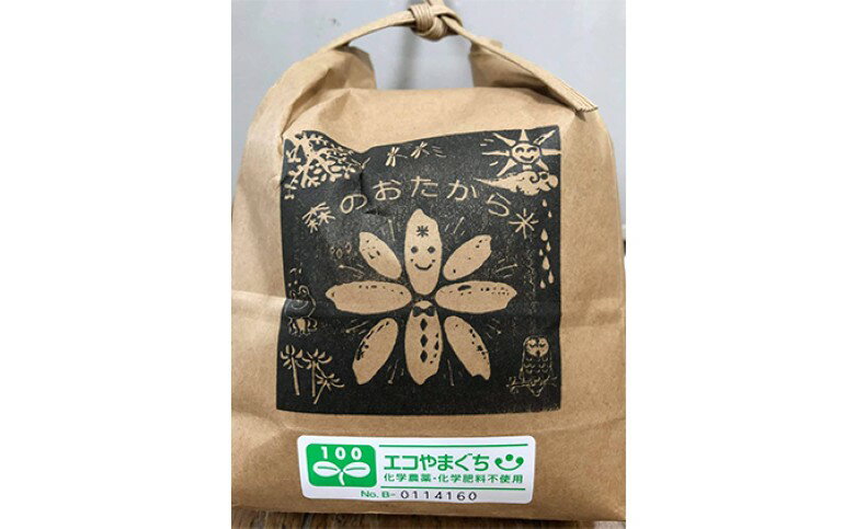 【ふるさと納税】【352047000420】米 玄米 10kg 自然栽培米 朝日 山口県産 コメ 米