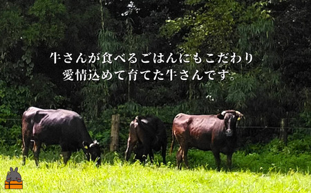 40代からの赤身を極めた鹿児島黒毛和牛切り落とし1500g ( 厳選 赤身 プレミアム 高品質 鹿児島黒毛和牛 黒毛和牛 牛肉 万能 料理 徳之島 奄美 鹿児島 すき焼き しゃぶしゃぶ 高島屋 )