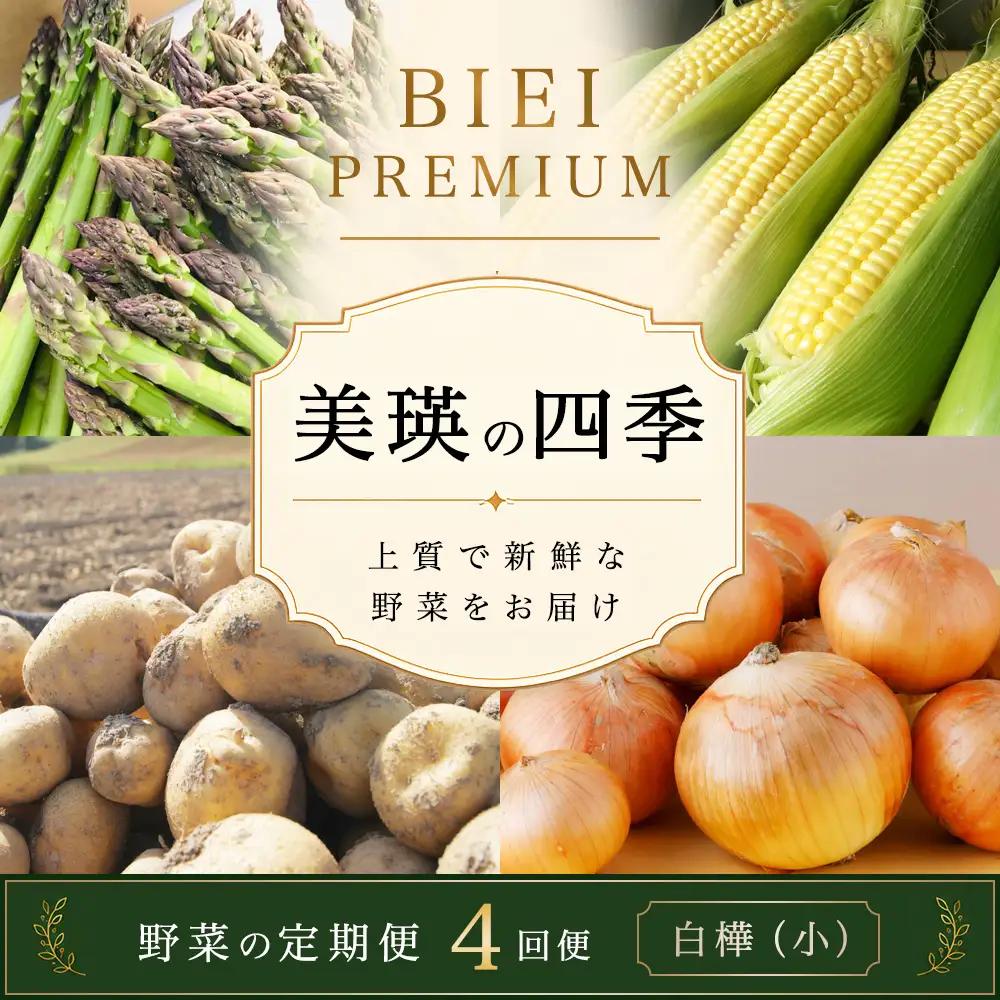 定期便 4回 美瑛野菜 【先行予約】 野菜