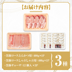 【B06001】鹿児島県産黒豚ロース＆餃子セット 鹿児島県 国産 九州産 黒豚 豚肉 ポーク ロース とんかつ しゃぶしゃぶ 餃子 ギョーザ ぎょうざ バラエティ セット 詰め合わせ 鹿児島 ギフト 