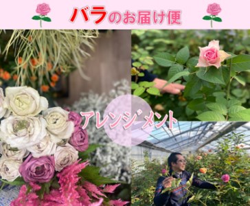 山口県産バラのアレンジメントお届け便(1257) 　フラワー　花　バラ　アレンジメント　ギフト