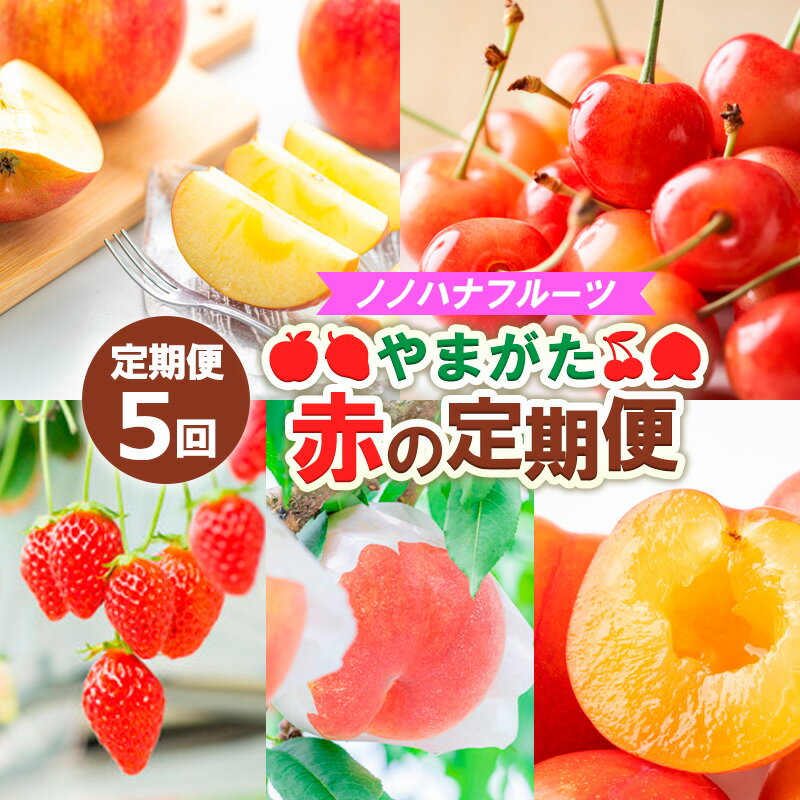 【ふるさと納税】【定期便5回】ノノハナフルーツ やまがた赤の定期便 FZ25-812