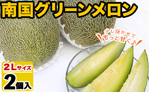 鹿児島県産！南国グリーンメロン(2Lサイズ×2個) メロン めろん 果物 スイーツ デザート フルーツ【あくね旬の店いきいき館】akn015-17