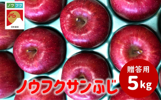 WF08　ノウフクサンふじ 贈答 約5kg / 2026年11月下旬～12月下旬ごろ配送予定 // 長野県 南信州 松川町産 JAS認証 りんご リンゴ 林檎 ノウフク 農福連携 サンふじ ふじ 贈答