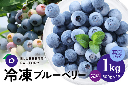 冷凍 ブルーベリー (真空パック保存) 1kg パック(500g×2) 日付指定可 A16-012