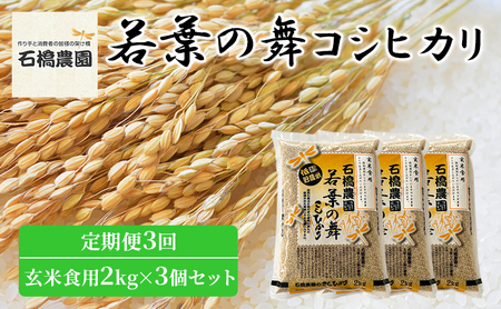 米 若葉の舞 コシヒカリ 玄米食用2kg×3個セット 定期便3回 こしひかり セット 定期便 お米 玄米 千葉 千葉県 低温保存