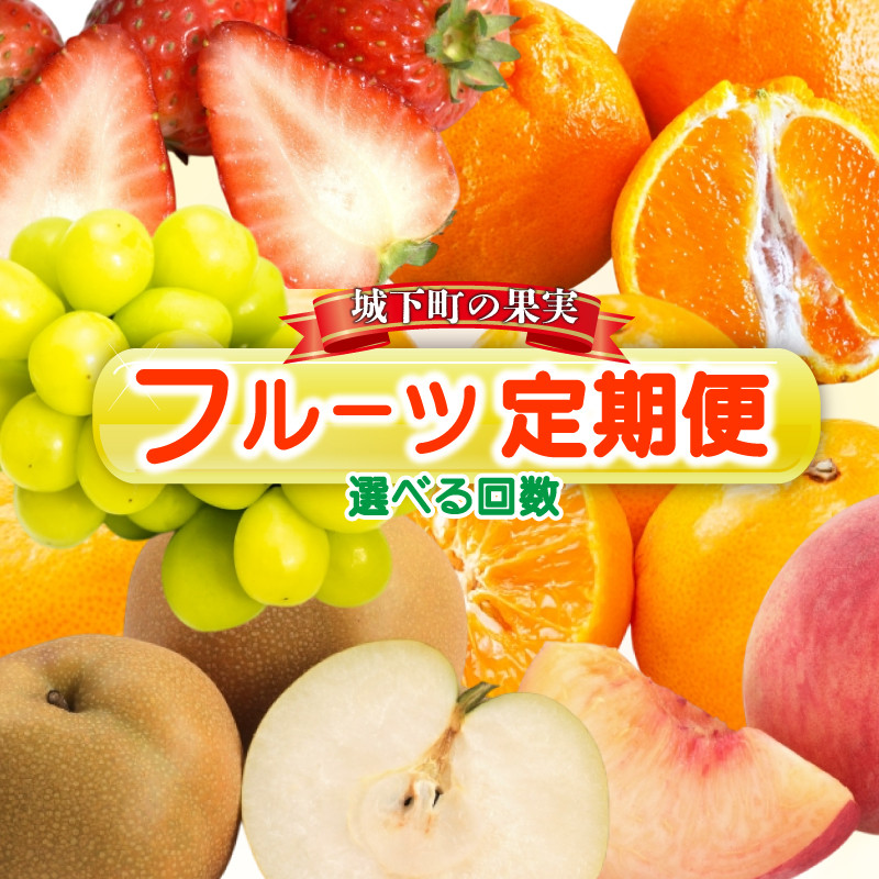 
            フルーツ定期便 【城下町の果実】【選べる回数】フルーツ 定期便  定期配送 いちご 苺 桃 モモ シャインマスカット ぶどう みかん 蜜柑 柑橘 果実 果物 フルーツ 旬のフルーツ フルーツギフト フルーツ定期 フルーツ定期便 果物定期 果物定期便 人気果物 人気フルーツ 香川県 丸亀市
          