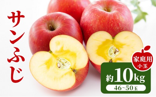 
                  【2026年11月下旬～発送予定】 先行予約 訳あり りんご サンふじ 小玉 約10kg フルーツ 果物 林檎 甘い 訳あり [№5915-0823]
                