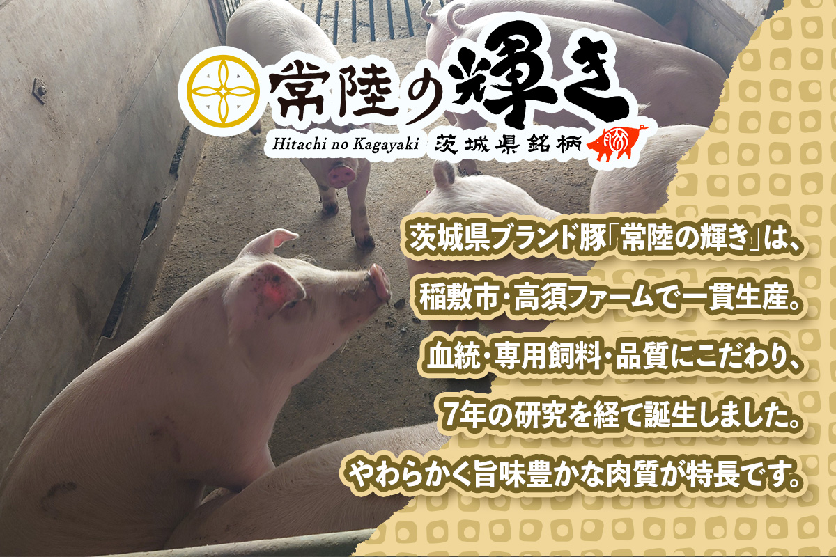 常陸の輝きロース 厚切り500g｜豚肉 ブランド肉 茨城ブランド こだわりの肉 うまい肉 [1768]