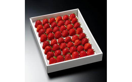 いちご さちのか おいしさを研究したいちご「さちのか」約1kg 登録商標：MINOMI STRAWBERRY（2026年1月中旬頃‐2026年4月下旬頃出荷）徳島県 上板町 いちご st-p