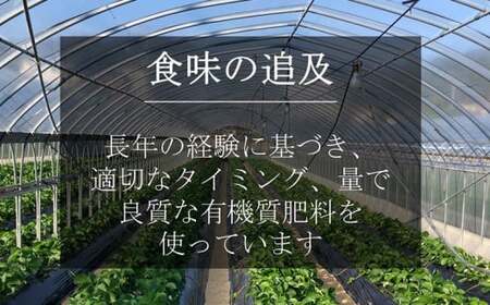 特大いちご(紅ほっぺ)　400g以上(7～10粒)×2箱・O041-22