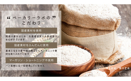 デニッシュ bakery labo 国産小麦 おまかせ デニッシュ【2本】【冷凍】