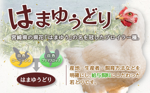 ＜2026年11月お届け＞安心・美味・新鮮のこだわりJAチキン［はまゆうどり］モモ・ムネセット 合計4kg 宮崎県産若鶏 チルド 冷蔵配送【B546-2608-2611】 2026年11月お届け