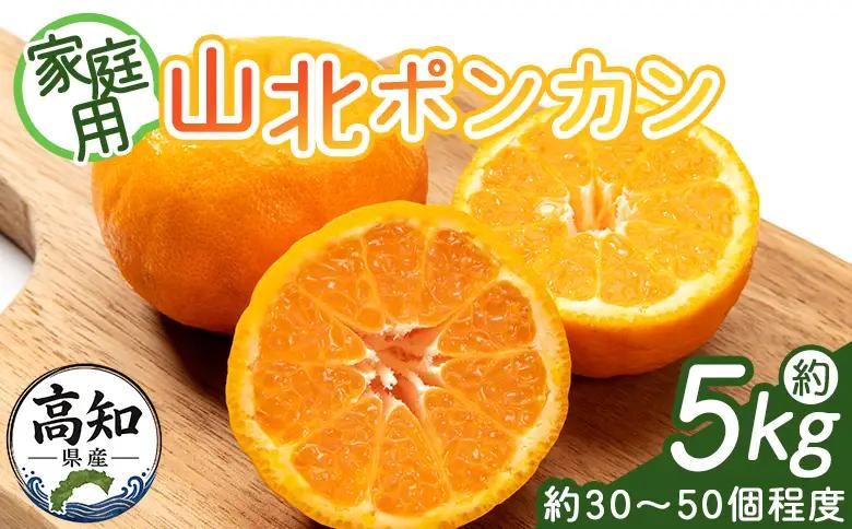 ぽんかん 山北ポンカン 5kg(約30～50個程度) 訳あり【2026年1月中旬から順次配送】 yk-0081