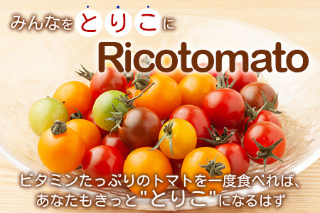 【5回定期便】【先行受付】2027年1月より順次発送 カラフルミニトマト6種 1kg ミニトマト プチトマト 定期便 農家直送 たにぐちファーム Ricotomato～とりこになるトマト～ G-24
