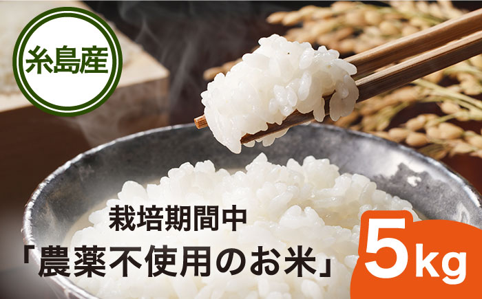 【先行受付中】栽培期間中 農薬不使用 ヒノヒカリ 5kg 【2026年10月下旬以降発送以降順次発送】糸島市/シーブ [AHC005]
