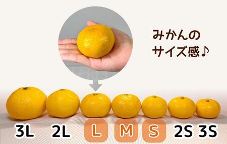 ゆら早生 みかん 箱入2.5kg (内容量2.3kg) SMLサイズのいずれか 秀品 優品 混合 有田みかん 和歌山県産 【みかんの会】