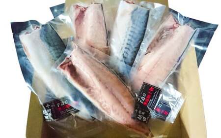 【6ヶ月定期便】 越田の干物 大さば 3枚入×1パック 合計18枚 干物 鯖 さば 魚 お魚 さかな さば サバ